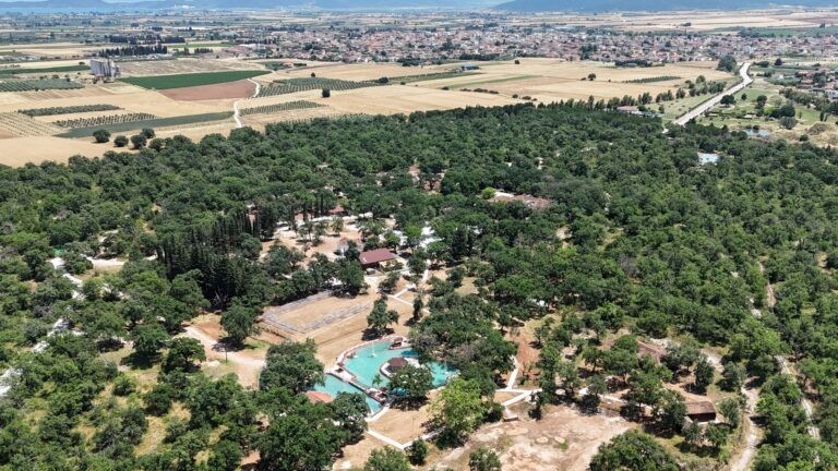 Κλειστό για το κοινό το Δάσος Κουρί